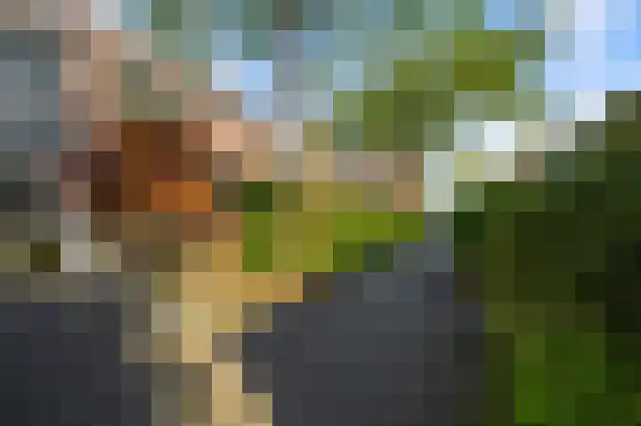 Turfakker 21 Koog aan de Zaan thumbnail 29