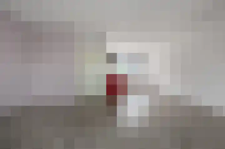 Turfakker 21 Koog aan de Zaan thumbnail 4