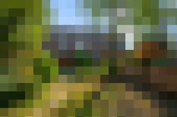 Turfakker 21 Koog aan de Zaan thumbnail 7