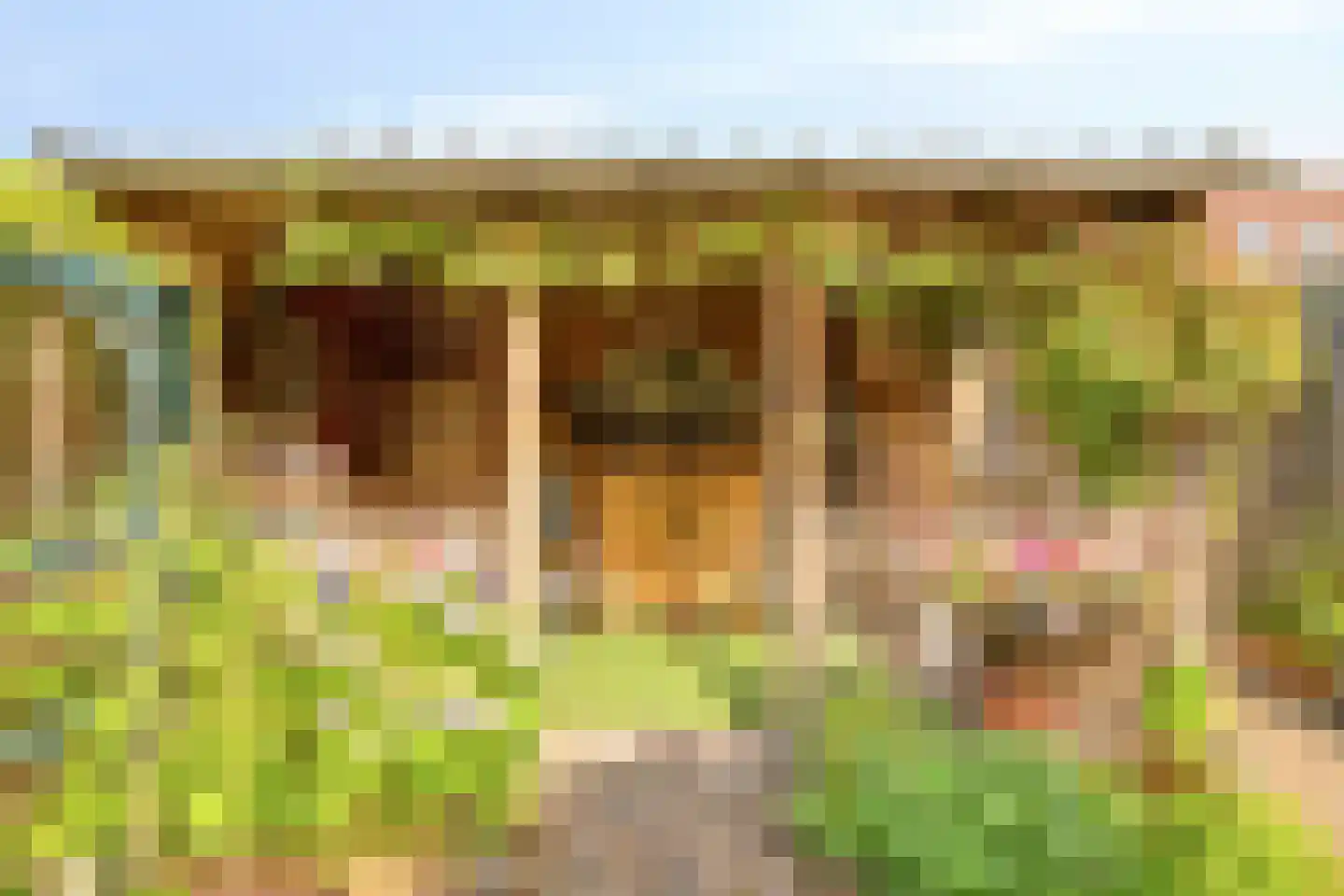 Turfakker 54 Nootdorp thumbnail 29
