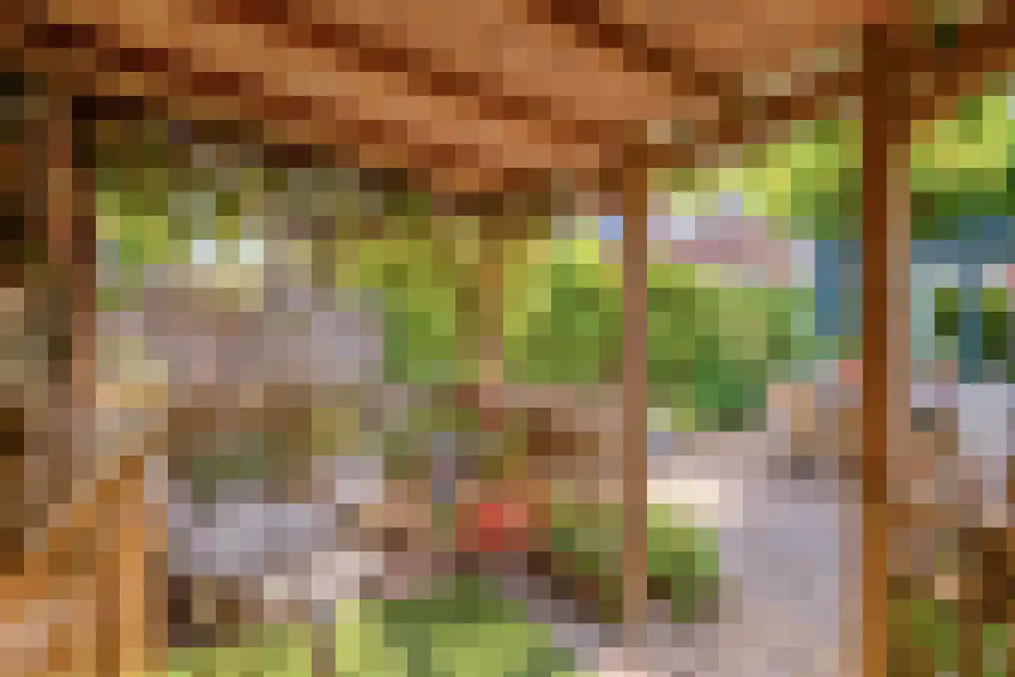 Turfakker 54 Nootdorp thumbnail 30