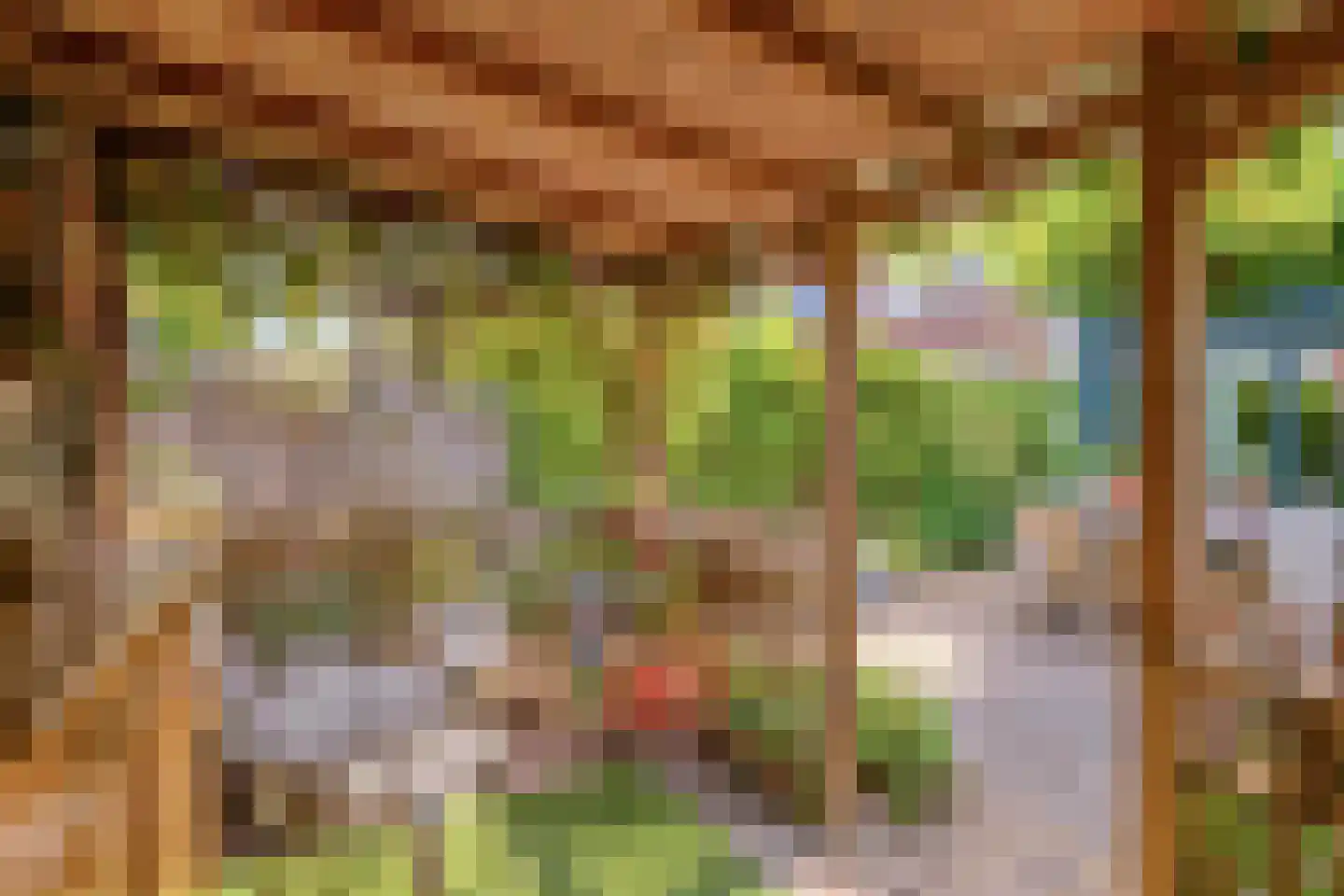 Turfakker 54 Nootdorp thumbnail 30