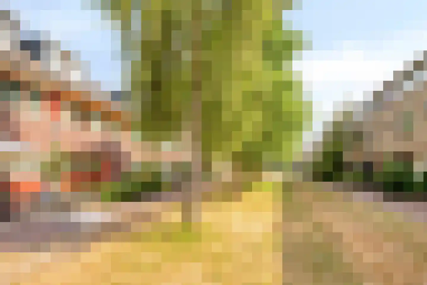 Turfakker 54 Nootdorp thumbnail 31