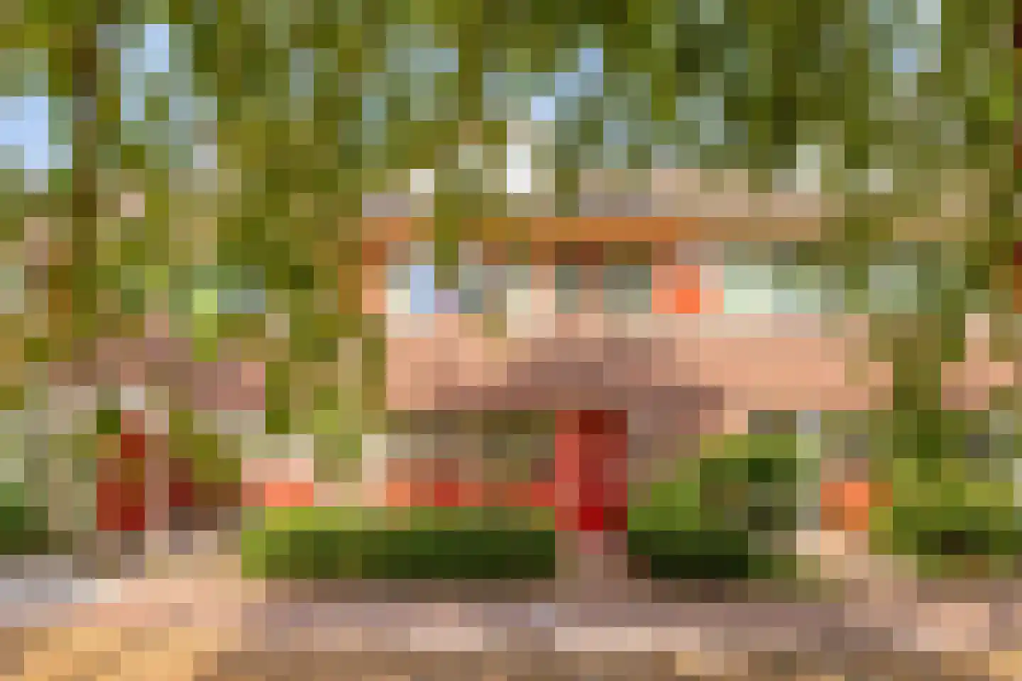 Turfakker 54 Nootdorp thumbnail 32