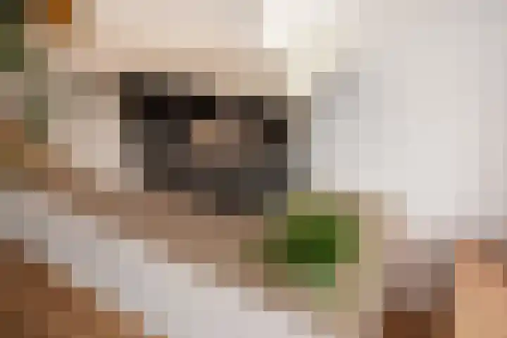 Turfberg 27 Zoetermeer thumbnail 13