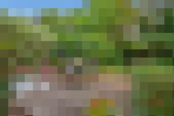 Turfberg 27 Zoetermeer thumbnail 17