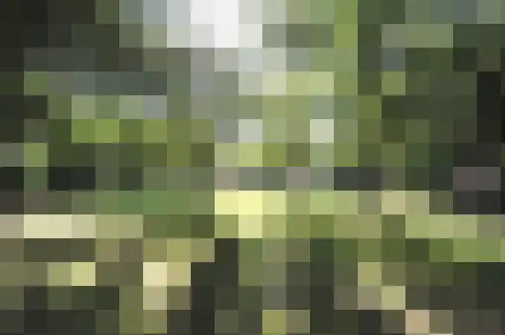Turfberg 27 Zoetermeer thumbnail 19