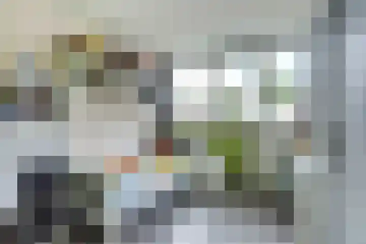 Turfberg 27 Zoetermeer thumbnail 20