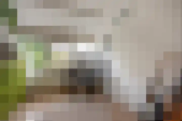 Turfberg 27 Zoetermeer thumbnail 32