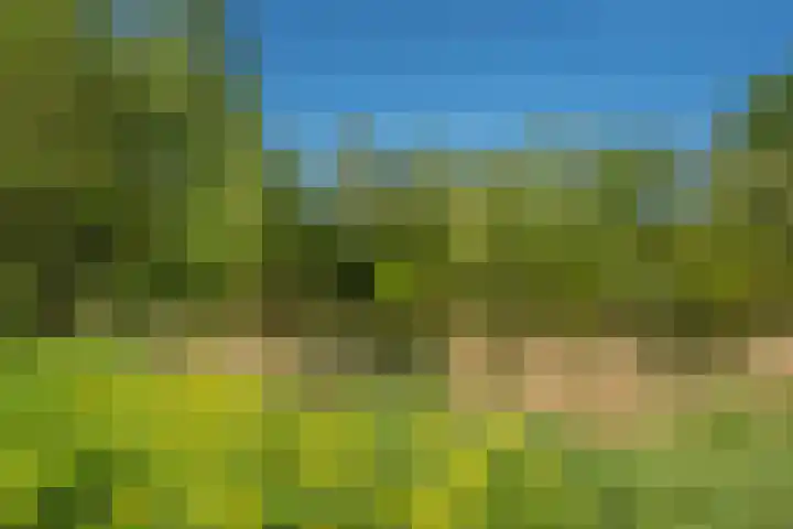 Turfberg 27 Zoetermeer thumbnail 46
