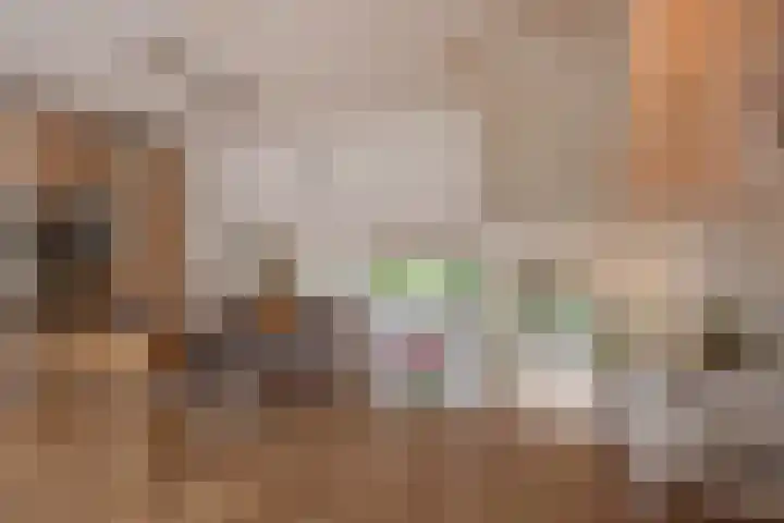 Turfberg 27 Zoetermeer thumbnail 7