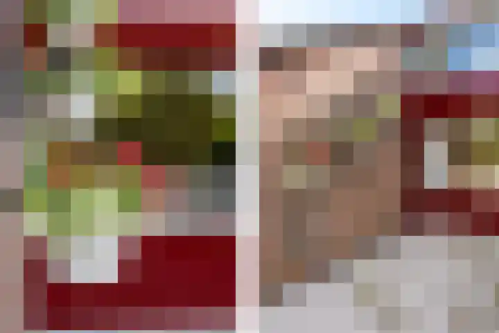 Turfberg 29 Zoetermeer thumbnail 10