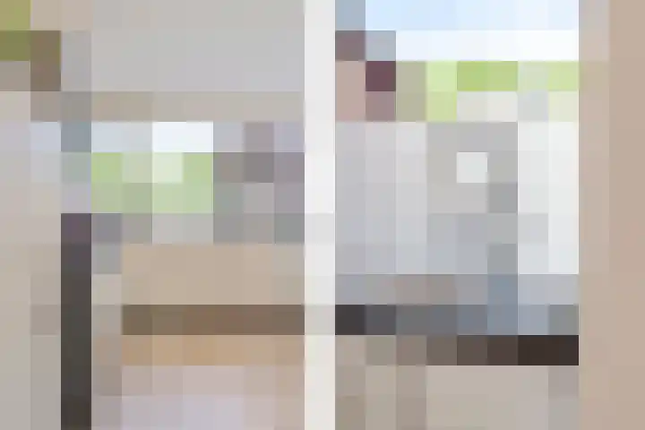 Turfberg 29 Zoetermeer thumbnail 18
