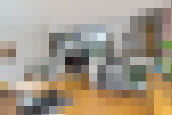 Turfberg 29 Zoetermeer thumbnail 19