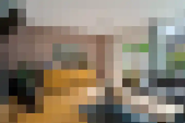 Turfberg 29 Zoetermeer thumbnail 20