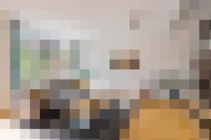 Turfberg 29 Zoetermeer thumbnail 21