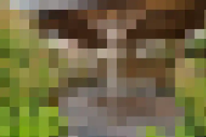 Turfberg 29 Zoetermeer thumbnail 26