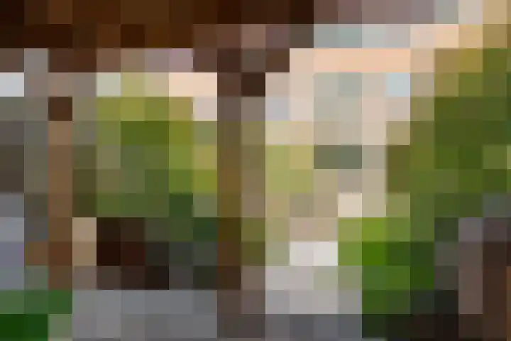 Turfberg 29 Zoetermeer thumbnail 27