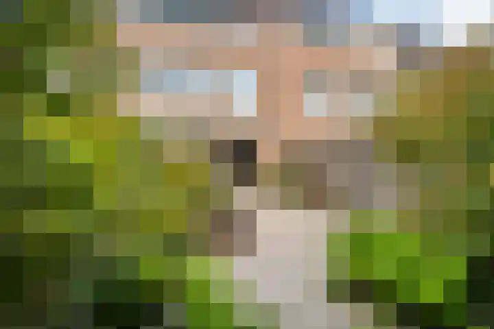 Turfberg 29 Zoetermeer thumbnail 28