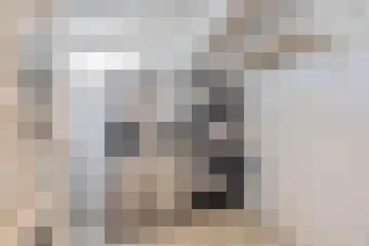Turfberg 29 Zoetermeer thumbnail 29