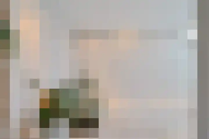 Turfberg 29 Zoetermeer thumbnail 38
