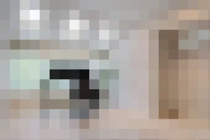 Turfberg 29 Zoetermeer thumbnail 39