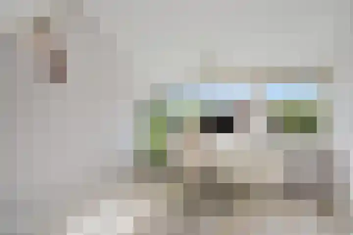 Turfberg 29 Zoetermeer thumbnail 47