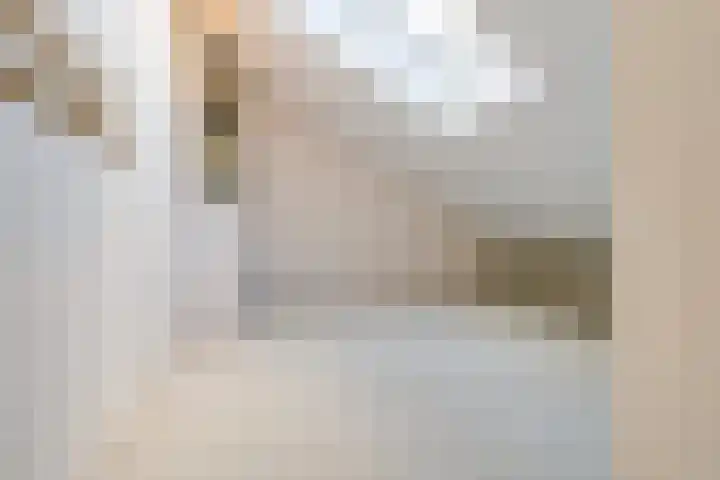 Turfberg 29 Zoetermeer thumbnail 51