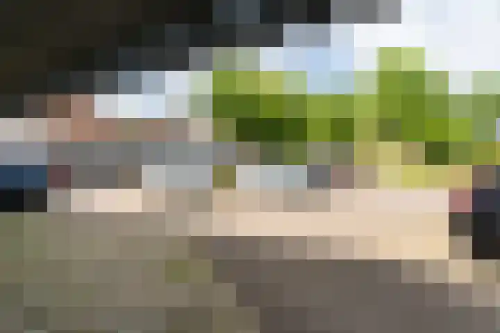 Turfberg 29 Zoetermeer thumbnail 52