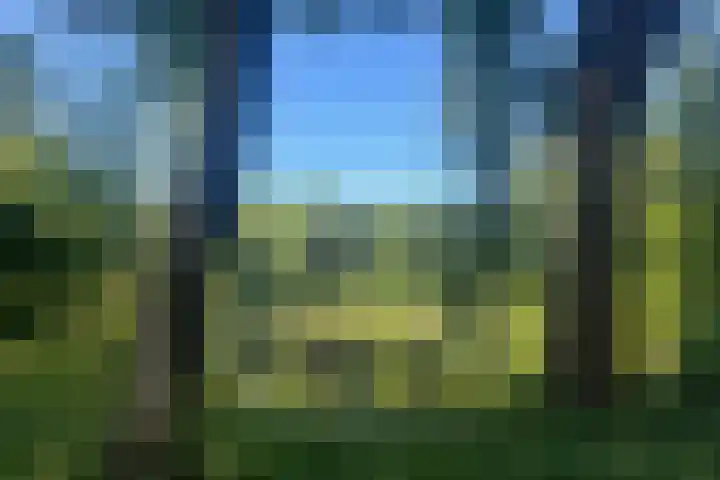 Turfberg 29 Zoetermeer thumbnail 53