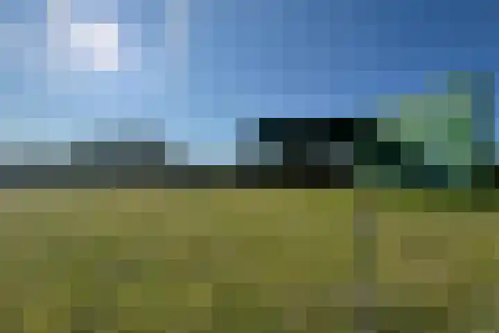 Turfberg 29 Zoetermeer thumbnail 55