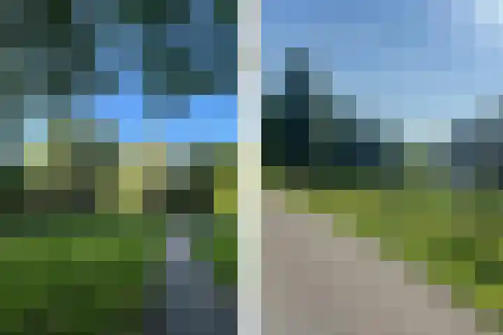 Turfberg 29 Zoetermeer thumbnail 56