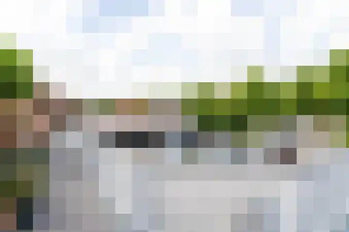 Turfberg 29 Zoetermeer thumbnail 8
