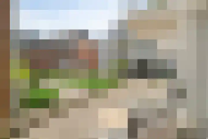 Turfberg 51 Roosendaal thumbnail 35