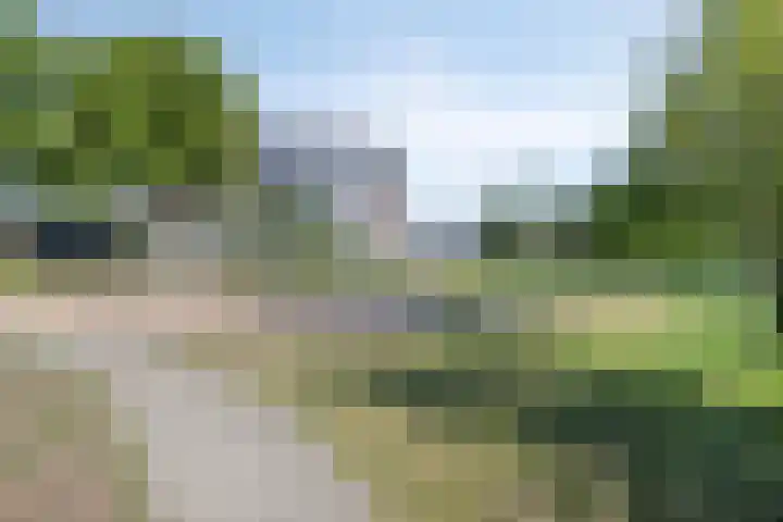 Turfberg 51 Roosendaal thumbnail 45