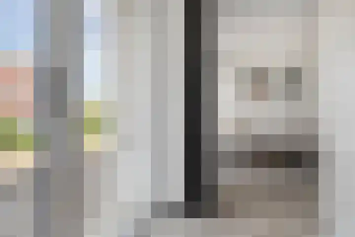 Turfberg 51 Roosendaal thumbnail 7