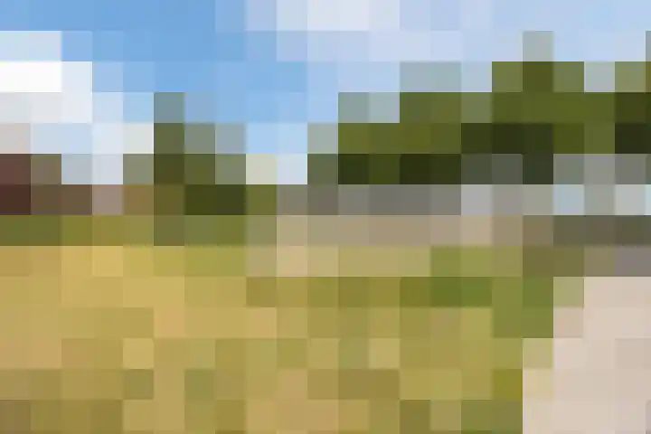 Turfberg 55 Roosendaal thumbnail 44