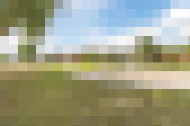 Turfberg 55 Roosendaal thumbnail 45