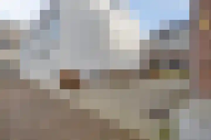 Turfberg 77 Roosendaal thumbnail 16