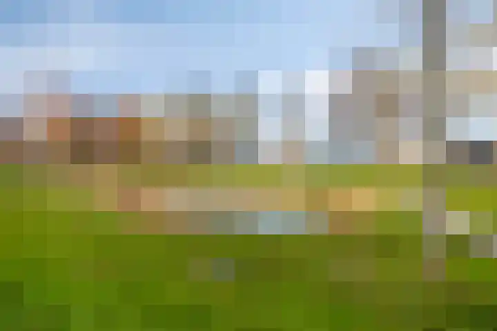 Turfberg 77 Roosendaal thumbnail 20