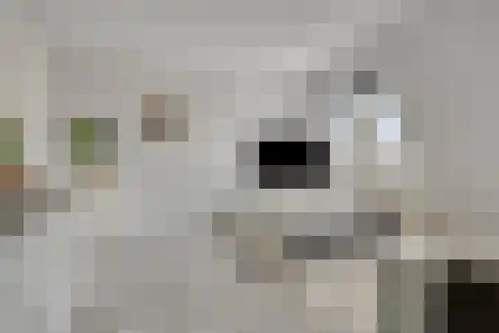 Turfberg 77 Roosendaal thumbnail 6