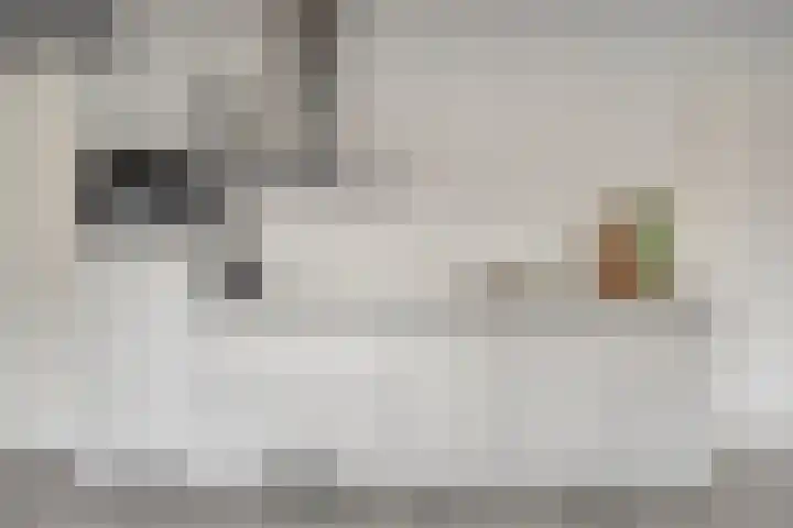 Turfberg 77 Roosendaal thumbnail 8