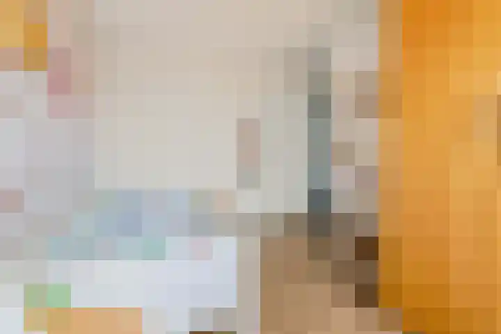 Turfberg 8 Amersfoort thumbnail 24