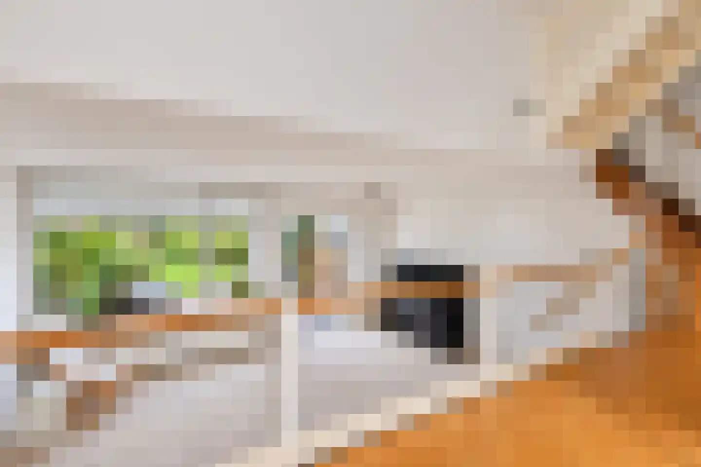 Turfberg 9 Zoetermeer thumbnail 18