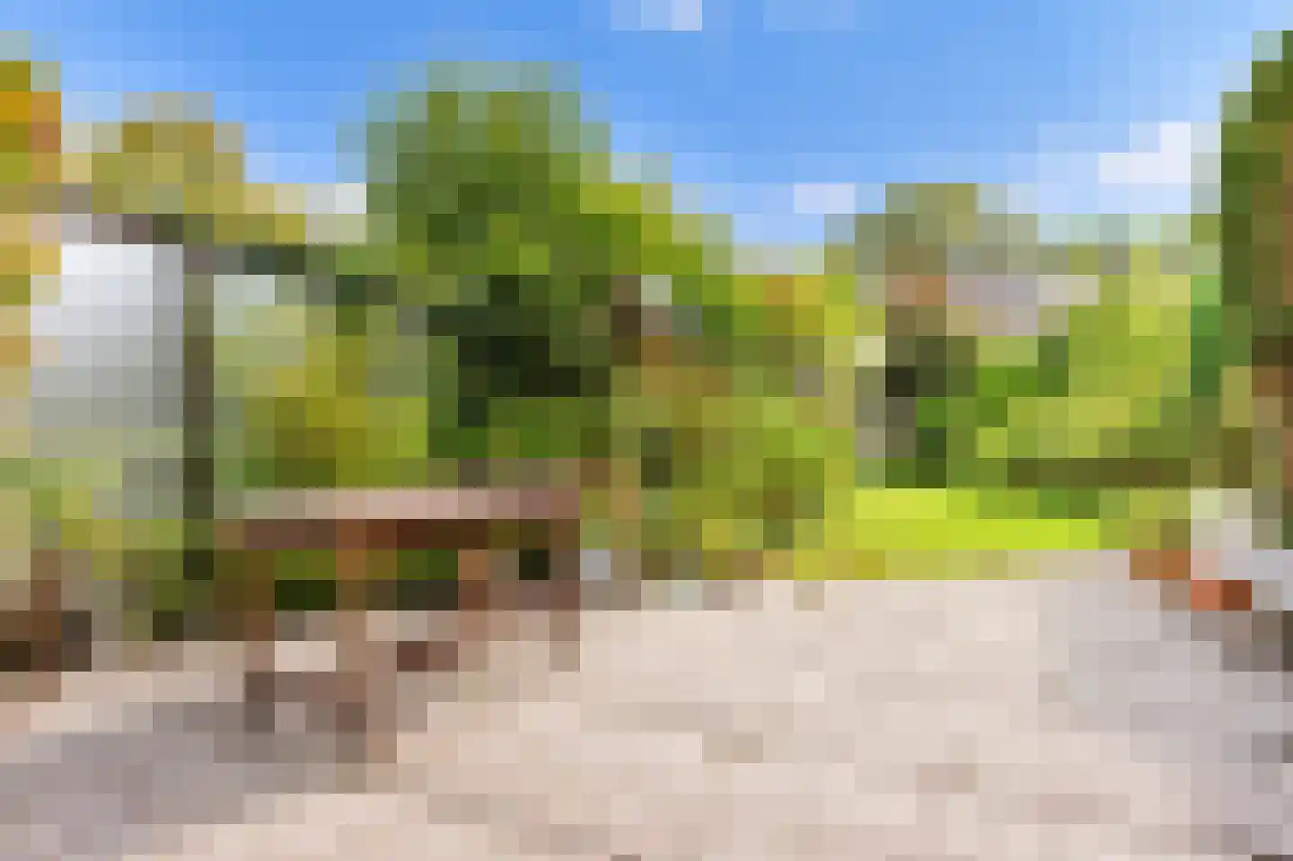 Turfberg 9 Zoetermeer thumbnail 21