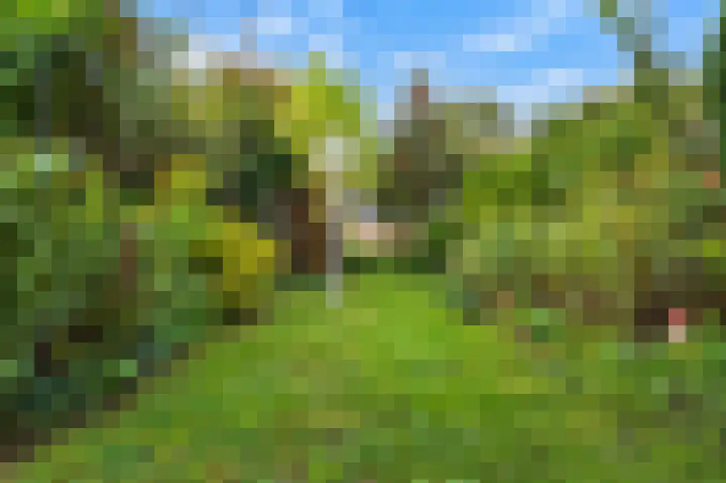 Turfberg 9 Zoetermeer thumbnail 24
