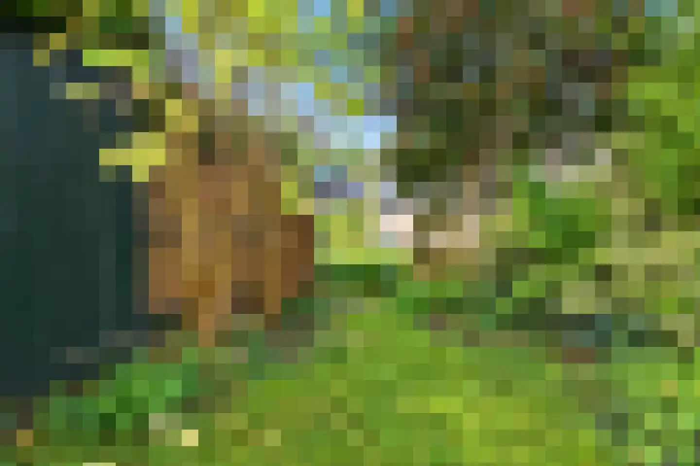 Turfberg 9 Zoetermeer thumbnail 25