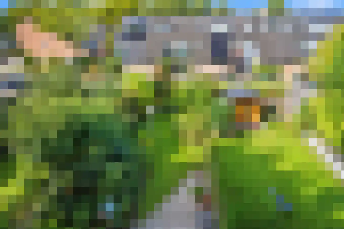 Turfberg 9 Zoetermeer thumbnail 47