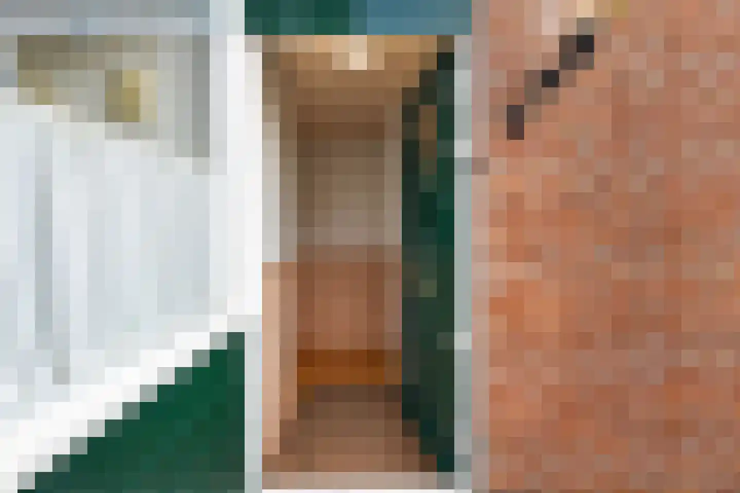 Turfberg 9 Zoetermeer thumbnail 8