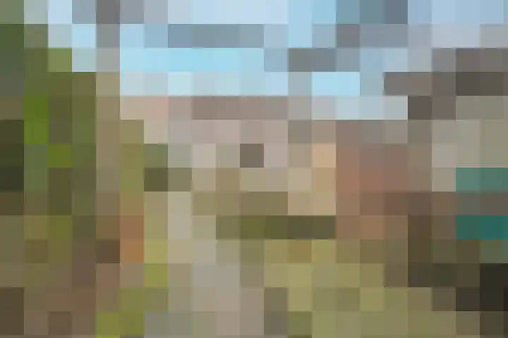 Turfbergweg 32 Radio Kootwijk thumbnail 29